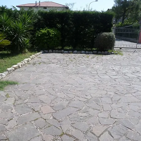 Holy House *